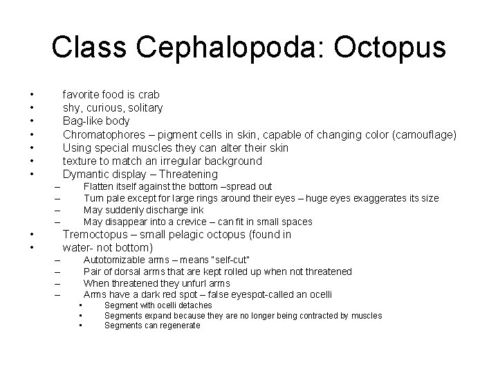 Class Cephalopoda: Octopus • • favorite food is crab shy, curious, solitary Bag-like body
