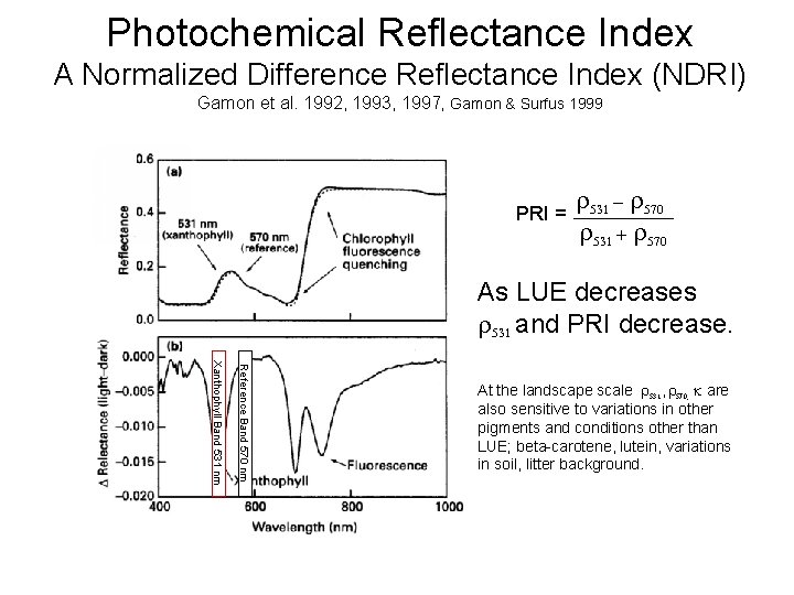 Photochemical Reflectance Index A Normalized Difference Reflectance Index (NDRI) Gamon et al. 1992, 1993,