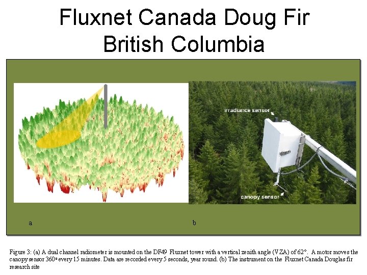 Fluxnet Canada Doug Fir British Columbia a b Figure 3: (a) A dual channel