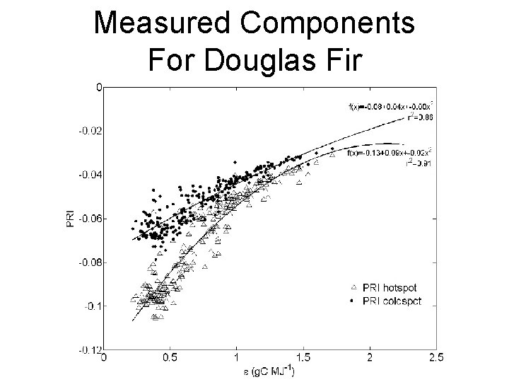 Measured Components For Douglas Fir 