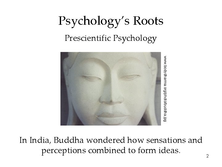 Psychology’s Roots Prescientific Psychology www. bodydharma. org/photo/buddha. jpg In India, Buddha wondered how sensations