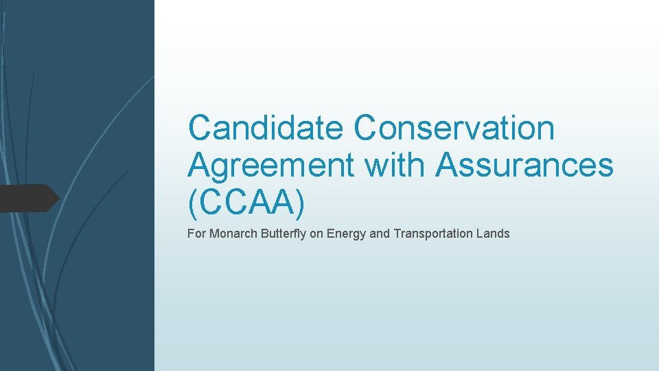Candidate Conservation Agreement with Assurances (CCAA) For Monarch Butterfly on Energy and Transportation Lands