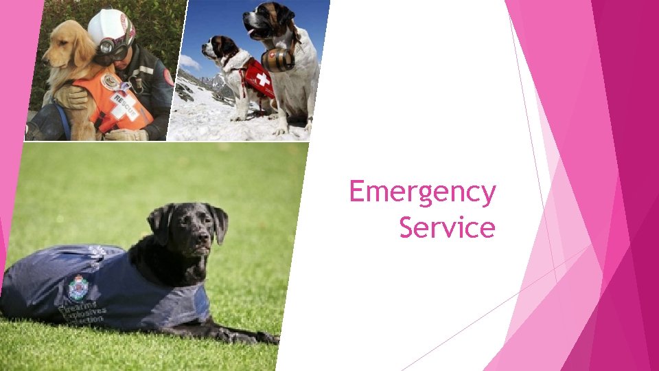 Emergency Service 
