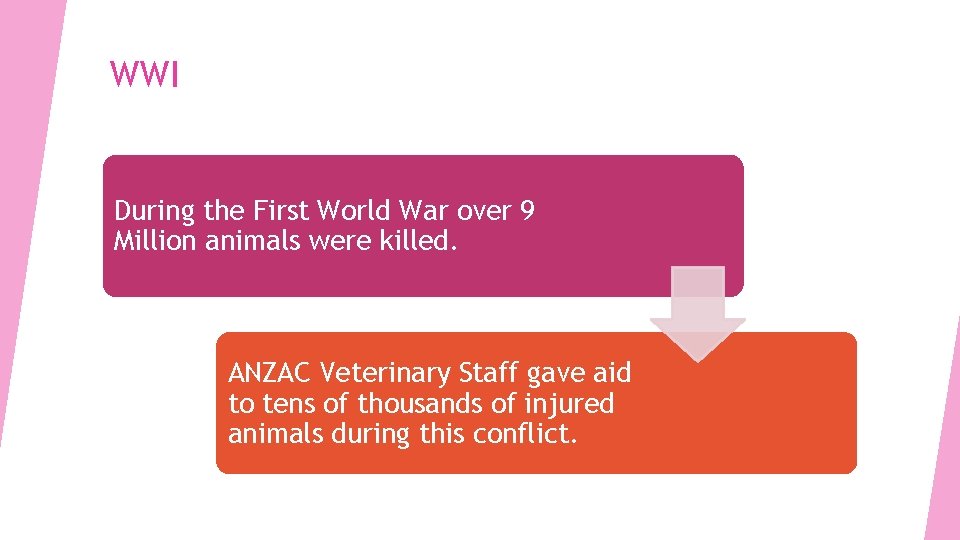 WWI During the First World War over 9 Million animals were killed. ANZAC Veterinary