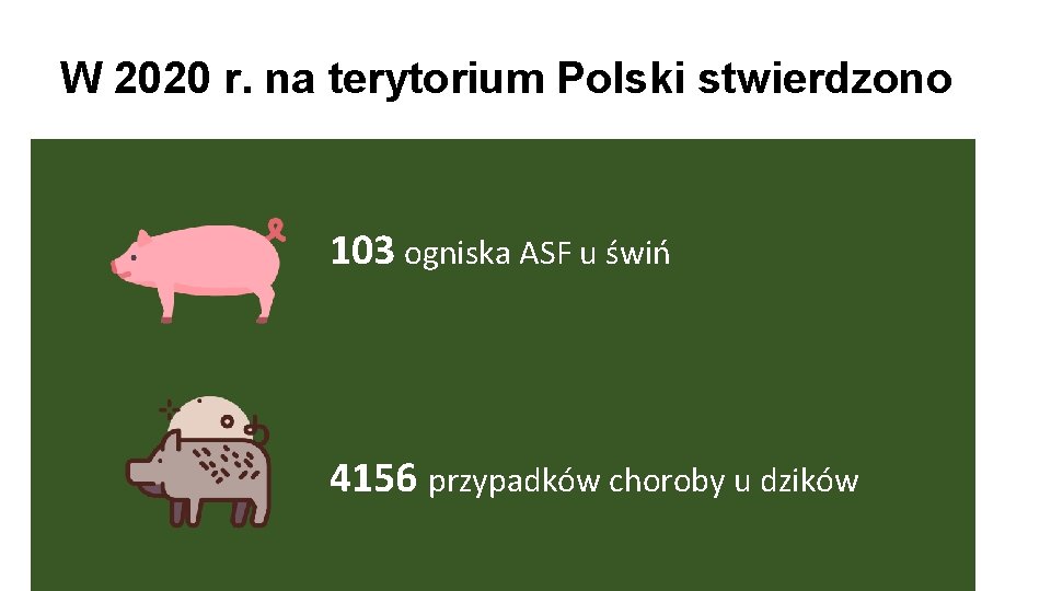 W 2020 r. na terytorium Polski stwierdzono 103 ogniska ASF u świń 4156 przypadków