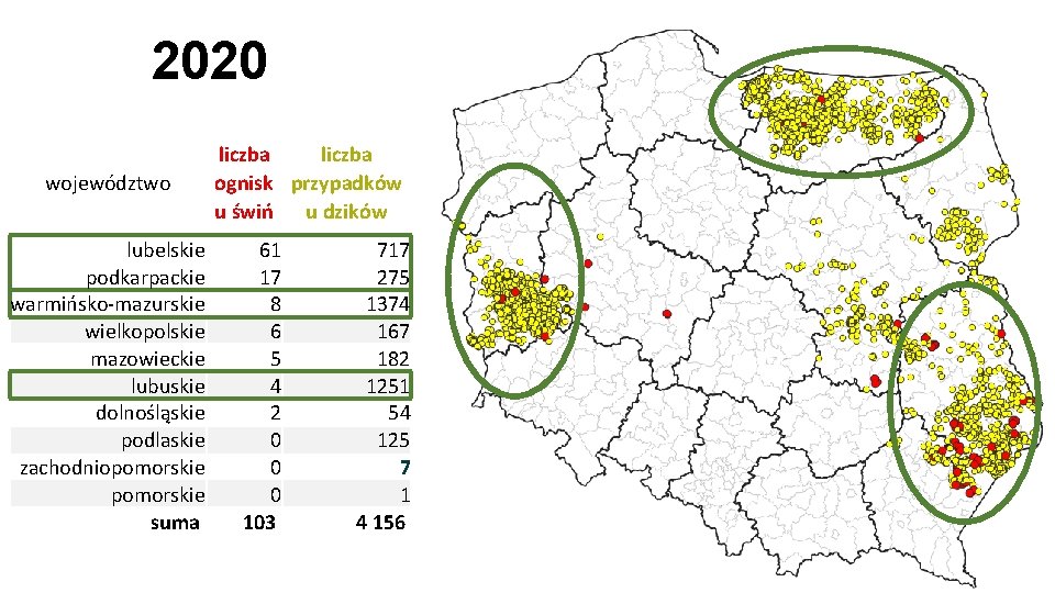2020 województwo lubelskie podkarpackie warmińsko-mazurskie wielkopolskie mazowieckie lubuskie dolnośląskie podlaskie zachodniopomorskie suma liczba ognisk