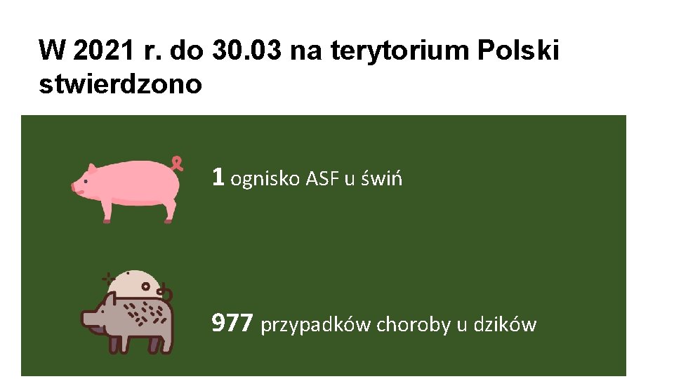 W 2021 r. do 30. 03 na terytorium Polski stwierdzono 1 ognisko ASF u