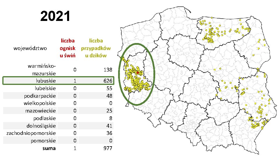 2021 województwo warmińskomazurskie lubuskie lubelskie podkarpackie wielkopolskie mazowieckie podlaskie dolnośląskie zachodniopomorskie suma liczba ognisk