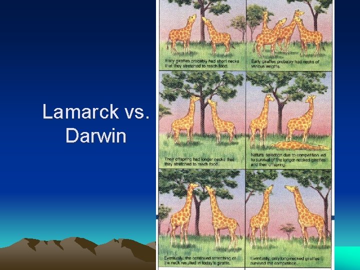 Lamarck vs. Darwin 