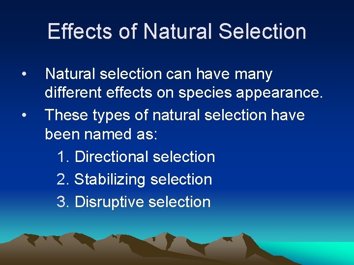 Effects of Natural Selection • • Natural selection can have many different effects on