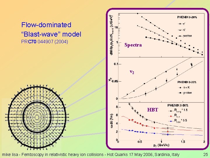 Flow-dominated “Blast-wave” model PRC 70 044907 (2004) Spectra v 2 HBT mike lisa -