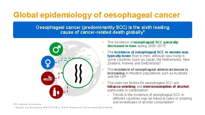 Global epidemiology of oesophageal cancer Oesophageal cancer (predominantly SCC) is the sixth leading cause