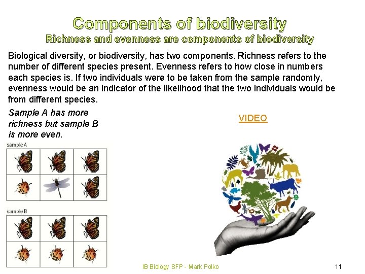 Components of biodiversity Richness and evenness are components of biodiversity Biological diversity, or biodiversity,