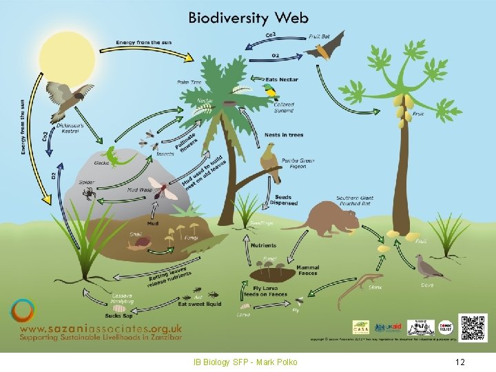 IB Biology SFP - Mark Polko 12 
