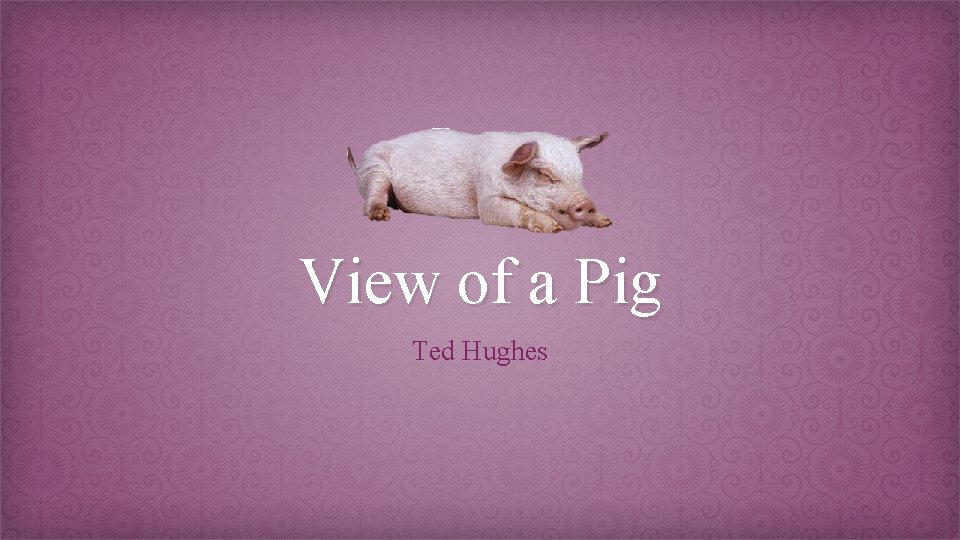 View of a Pig Ted Hughes 