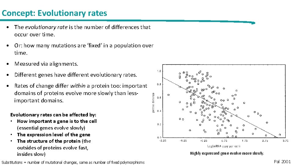 Concept: Evolutionary rates • The evolutionary rate is the number of differences that occur