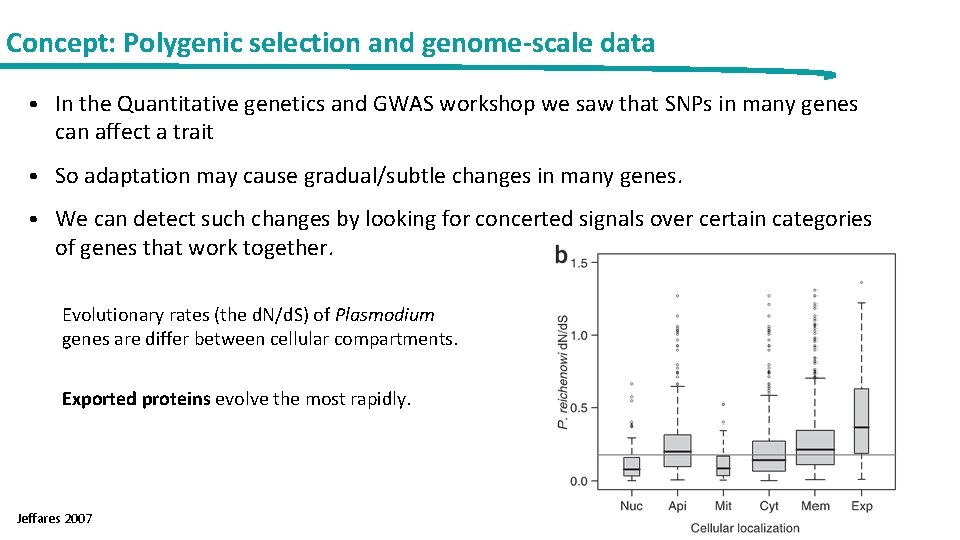 Concept: Polygenic selection and genome-scale data • In the Quantitative genetics and GWAS workshop