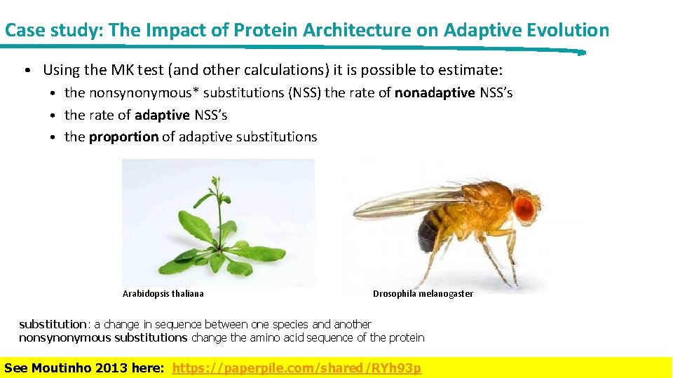 Case study: The Impact of Protein Architecture on Adaptive Evolution • Using the MK