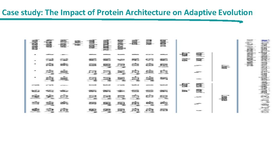 Case study: The Impact of Protein Architecture on Adaptive Evolution 