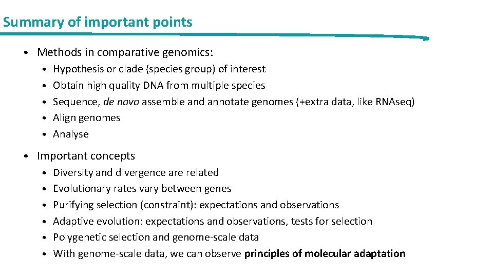 Summary of important points • Methods in comparative genomics: • Hypothesis or clade (species