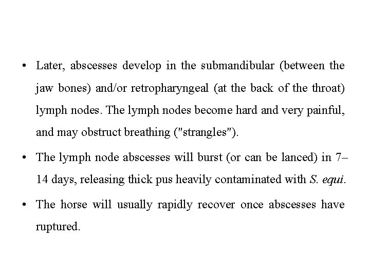  • Later, abscesses develop in the submandibular (between the jaw bones) and/or retropharyngeal