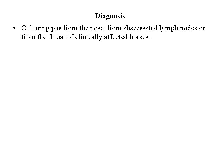 Diagnosis • Culturing pus from the nose, from abscessated lymph nodes or from the