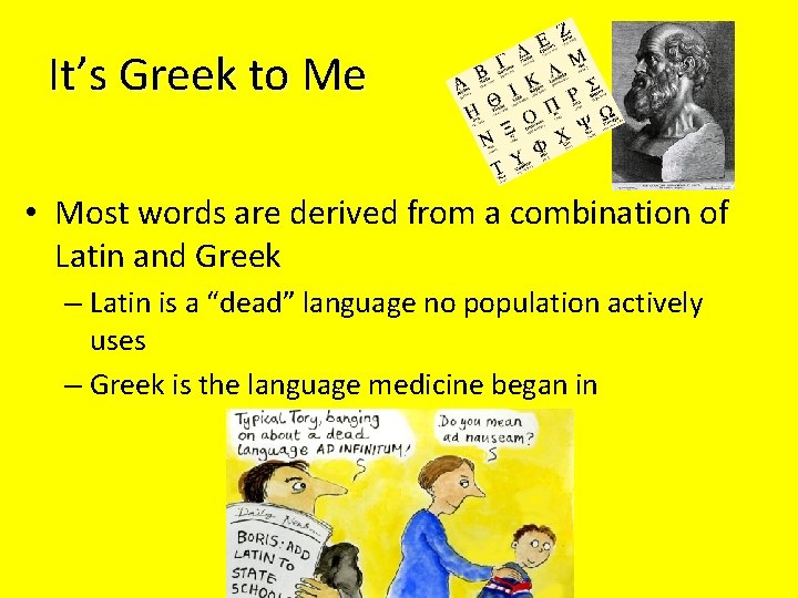 It’s Greek to Me • Most words are derived from a combination of Latin