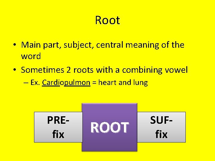 Root • Main part, subject, central meaning of the word • Sometimes 2 roots