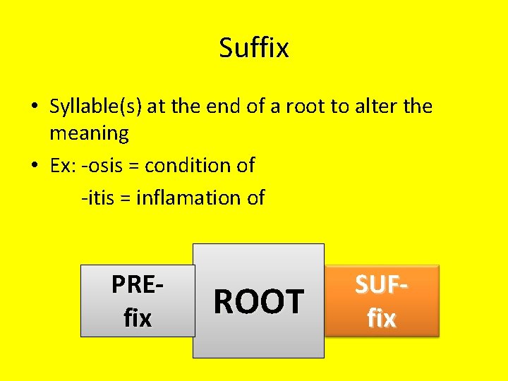 Suffix • Syllable(s) at the end of a root to alter the meaning •