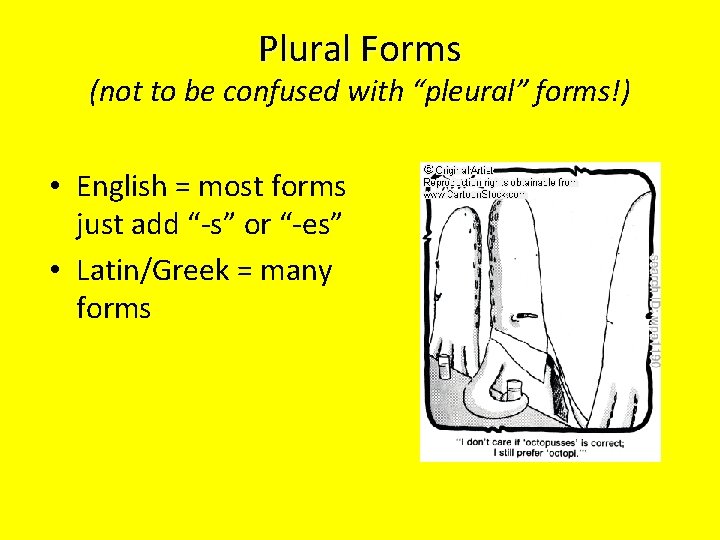 Plural Forms (not to be confused with “pleural” forms!) • English = most forms