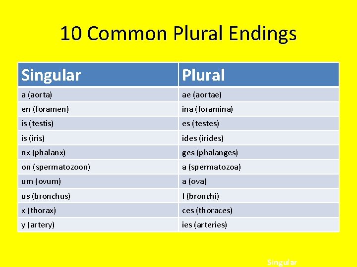 10 Common Plural Endings Singular Plural a (aorta) ae (aortae) en (foramen) ina (foramina)