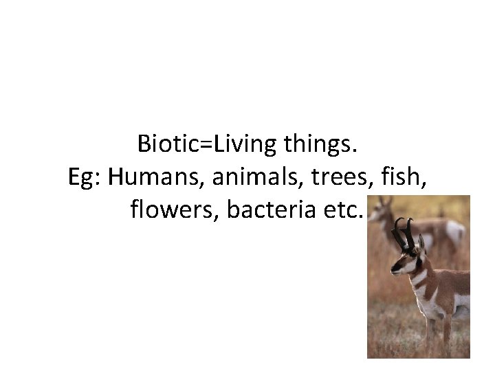 Biotic=Living things. Eg: Humans, animals, trees, fish, flowers, bacteria etc. 