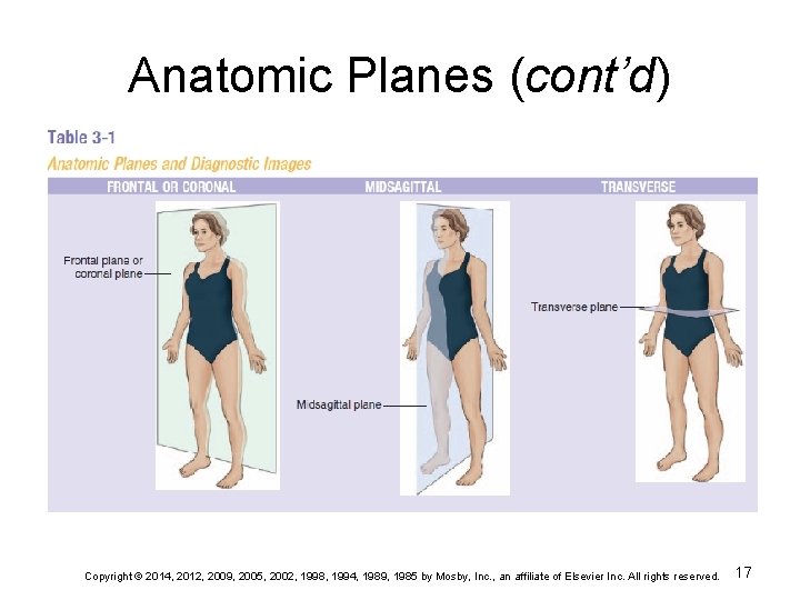 Anatomic Planes (cont’d) Copyright © 2014, 2012, 2009, 2005, 2002, 1998, 1994, 1989, 1985