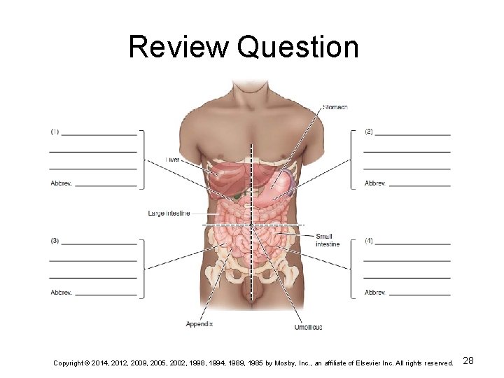 Review Question Copyright © 2014, 2012, 2009, 2005, 2002, 1998, 1994, 1989, 1985 by