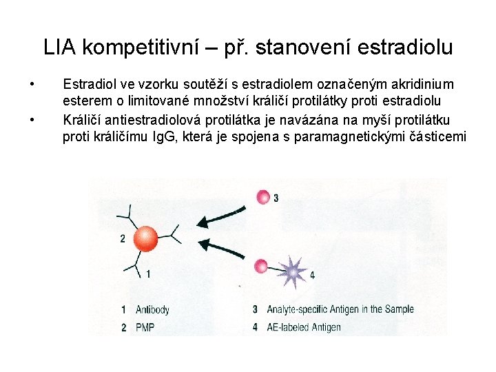 LIA kompetitivní – př. stanovení estradiolu • • Estradiol ve vzorku soutěží s estradiolem