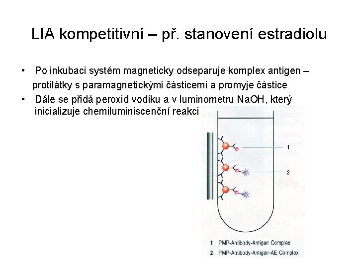 LIA kompetitivní – př. stanovení estradiolu • Po inkubaci systém magneticky odseparuje komplex antigen