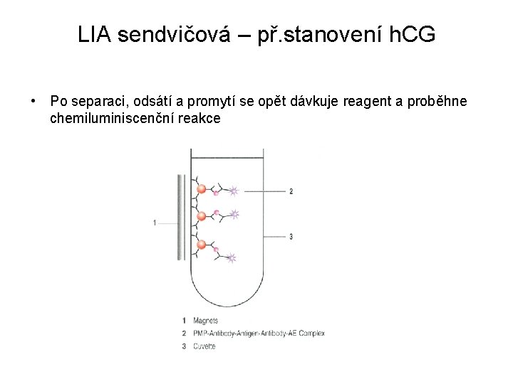 LIA sendvičová – př. stanovení h. CG • Po separaci, odsátí a promytí se