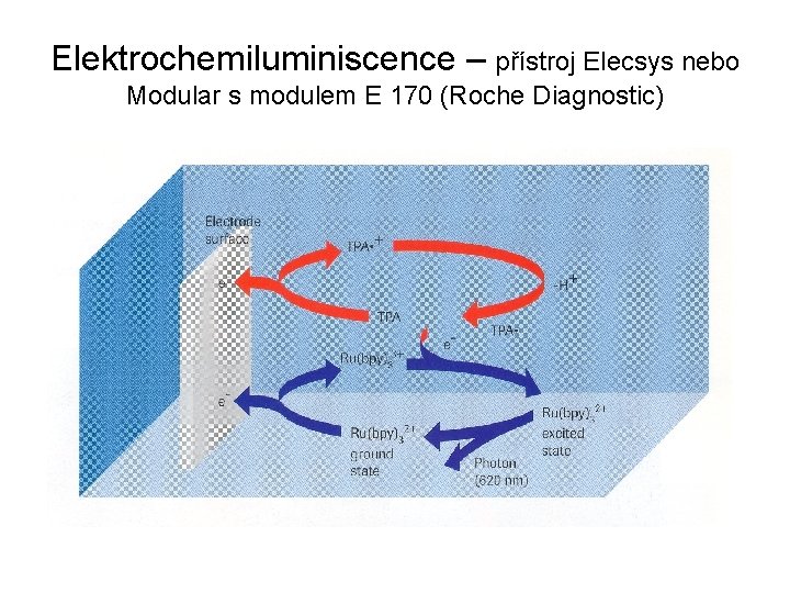 Elektrochemiluminiscence – přístroj Elecsys nebo Modular s modulem E 170 (Roche Diagnostic) 