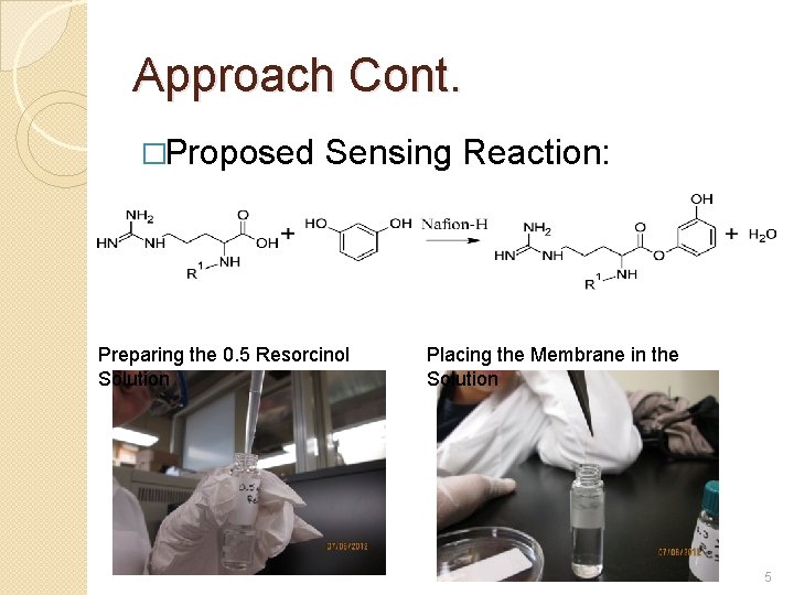 Approach Cont. �Proposed Sensing Reaction: Preparing the 0. 5 Resorcinol Solution Placing the Membrane