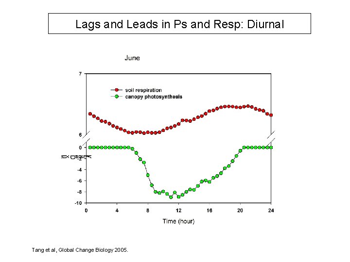 Lags and Leads in Ps and Resp: Diurnal Tang et al, Global Change Biology