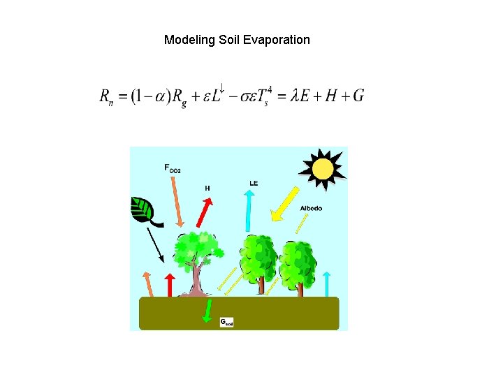 Modeling Soil Evaporation 