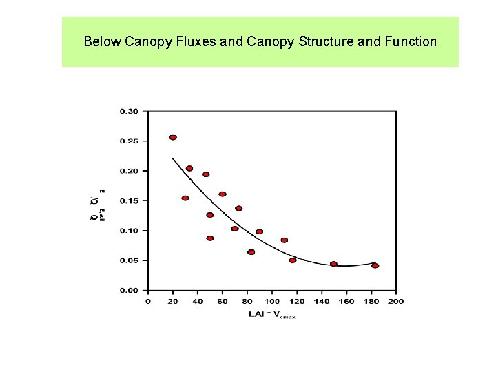 Below Canopy Fluxes and Canopy Structure and Function 