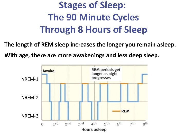 Stages of Sleep: The 90 Minute Cycles Through 8 Hours of Sleep The length