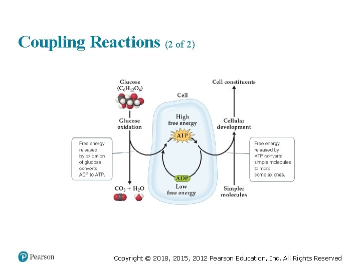 Coupling Reactions (2 of 2) Copyright © 2018, 2015, 2012 Pearson Education, Inc. All