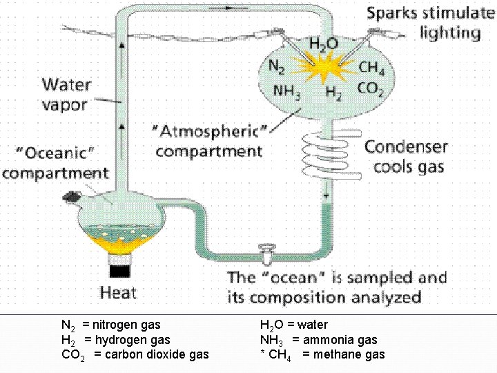 N 2 = nitrogen gas H 2 = hydrogen gas CO 2 = carbon