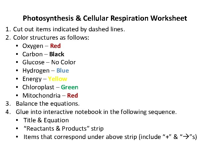 Photosynthesis & Cellular Respiration Worksheet 1. Cut out items indicated by dashed lines. 2.