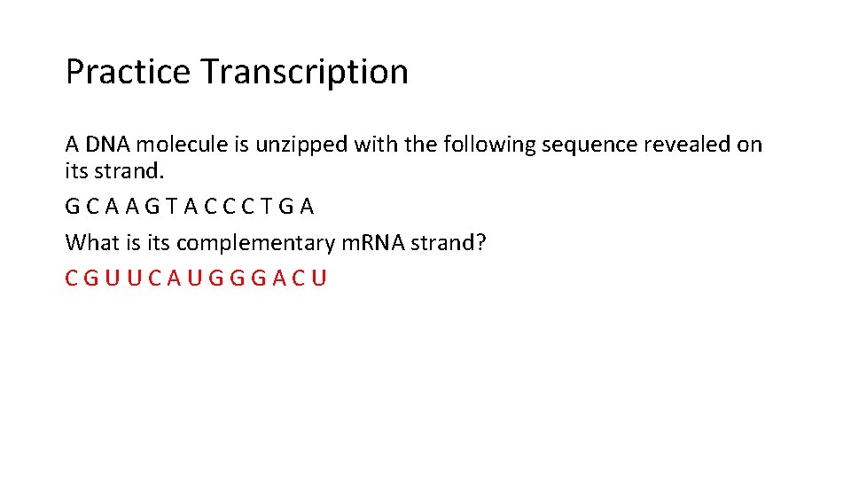 Practice Transcription A DNA molecule is unzipped with the following sequence revealed on its