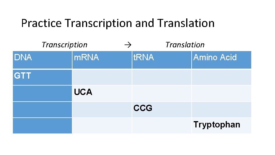 Practice Transcription and Translation Transcription DNA m. RNA → Translation t. RNA Amino Acid