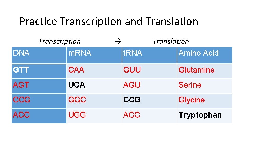 Practice Transcription and Translation Transcription → Translation DNA m. RNA t. RNA Amino Acid