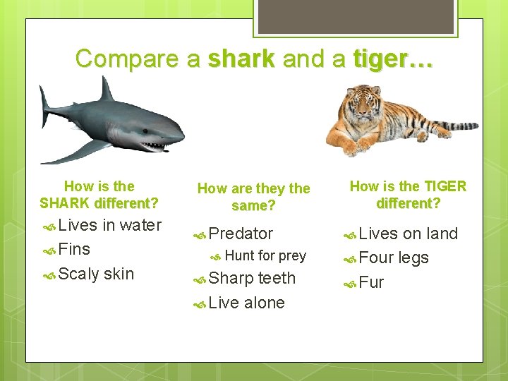 Compare a shark and a tiger… How is the SHARK different? different Lives in